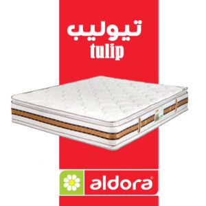 مرتبة الدورا تيوليب